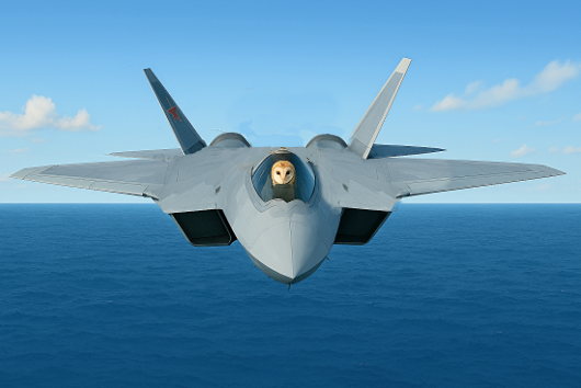 barn owl in stealth aircraft flying rowards me